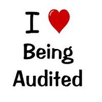 love being audited