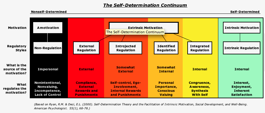 The Psychology of Expat Motivation: From Theory to Practice | Expatriatus