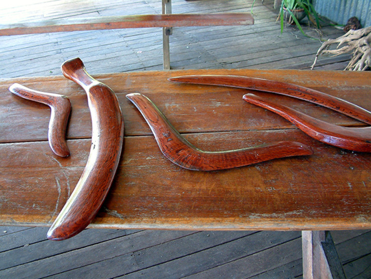 Indigenous boomerangs in the rain forest, Australia. Guillaume Blanchard.