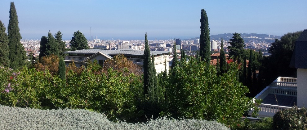50 Reasons to Love the IESE MBA